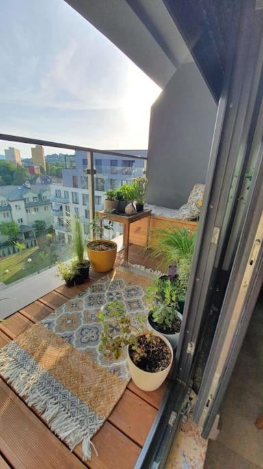 Apartment In City Center 프르제미슬 외부 사진
