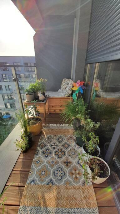 Apartment In City Center 프르제미슬 외부 사진